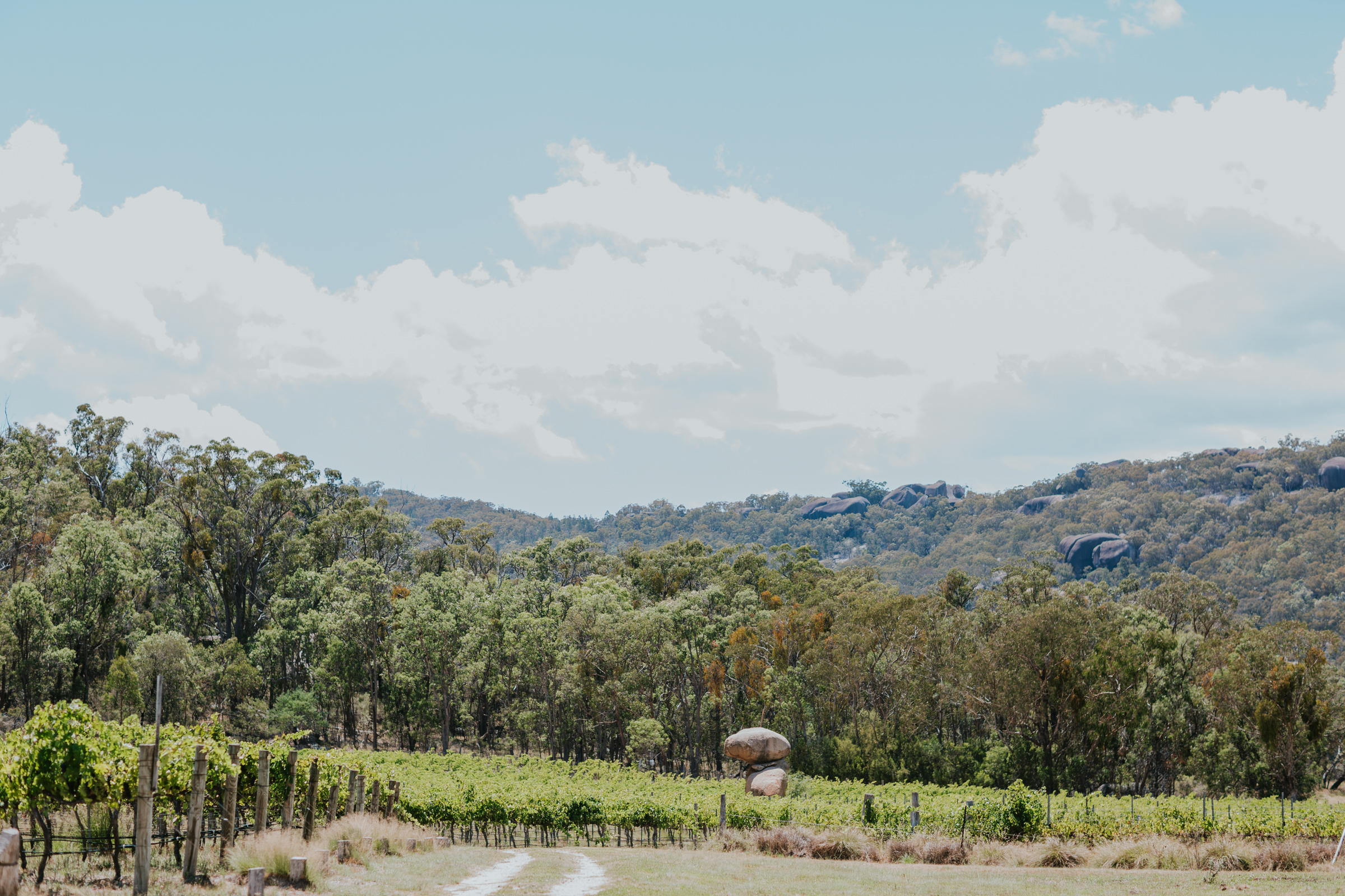 Long Weekend at Tenterfield - Still Wild Love