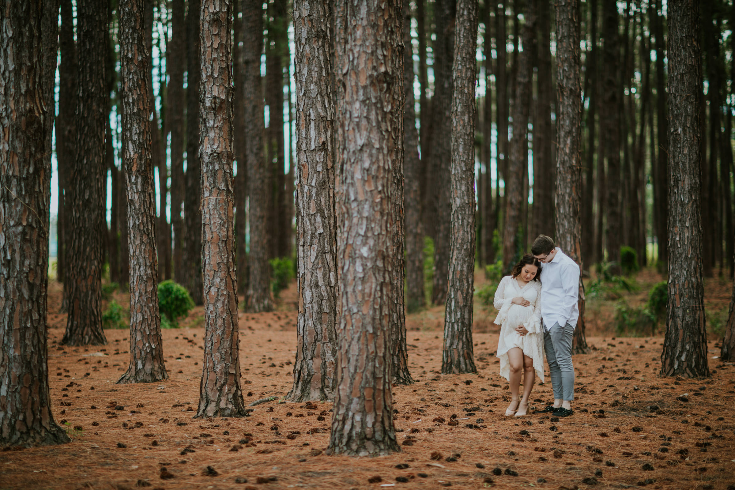 Pine Tree Forest Maternity Photoshoot Still Wild Love — free download