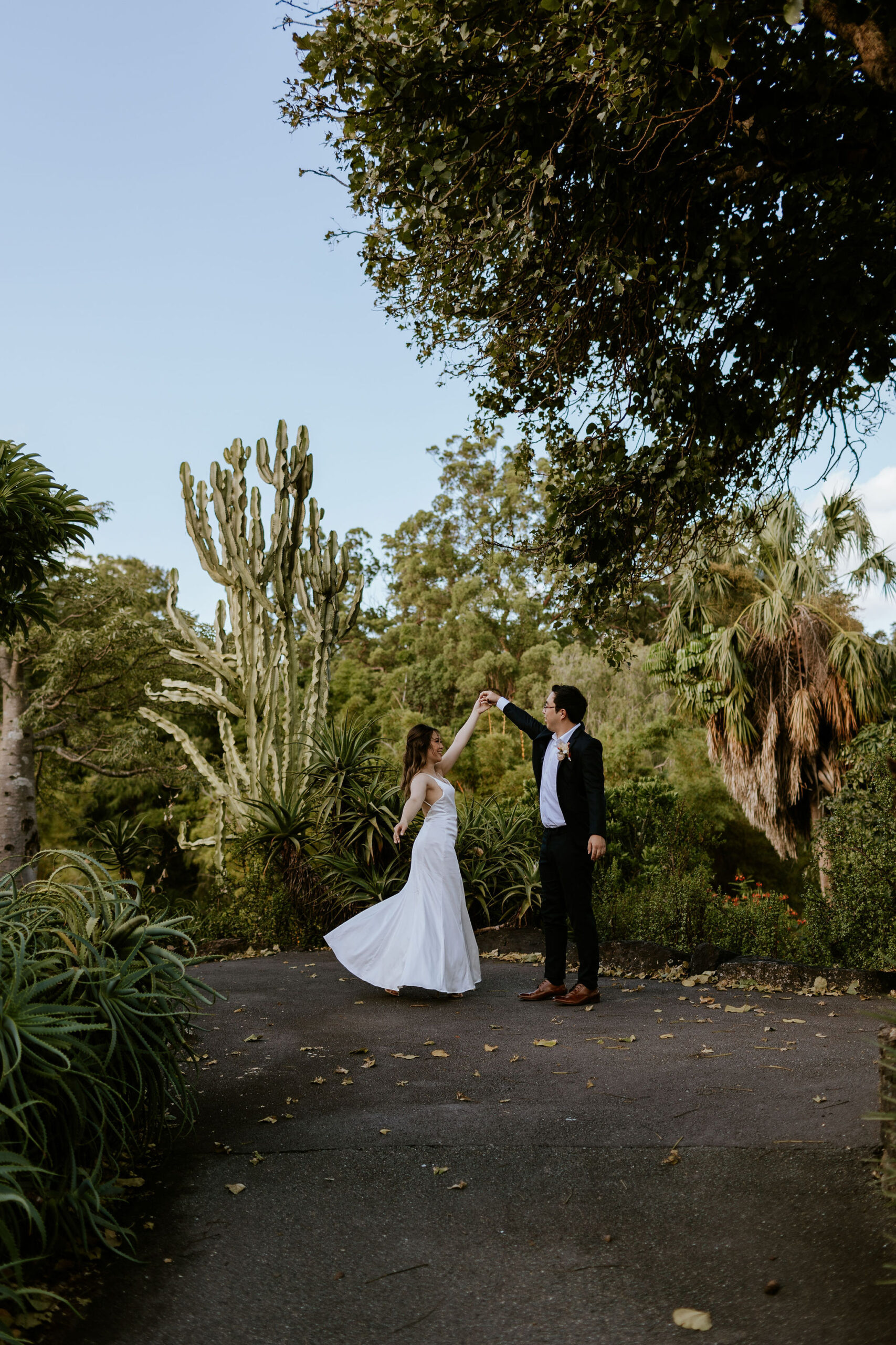 Cactus Garden Mount Coot-tha elopement photoshoot